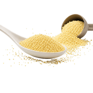 Deoiled Corn DDGS Quality Spoon